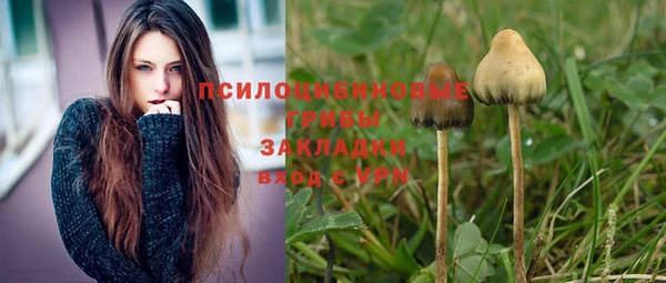 метадон Армянск