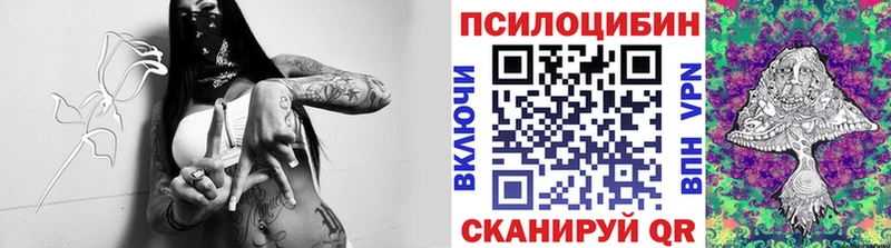 Галлюциногенные грибы MAGIC MUSHROOMS  Купить  Сысерть 